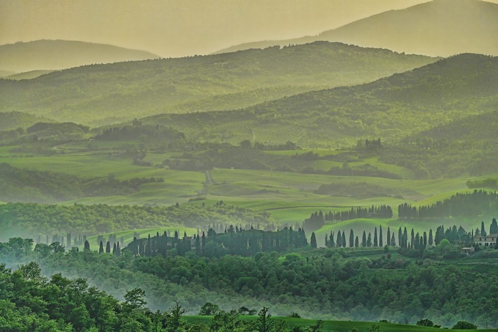 Tuscany, Italy - Wine, Sunflowers, And Timeless Villages: A Summer Journey In Tuscany