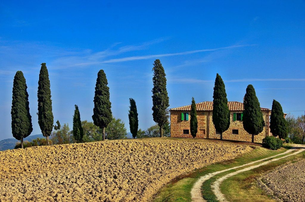 Tuscany, Italy - Wine, Sunflowers, And Timeless Villages: A Summer Journey In Tuscany