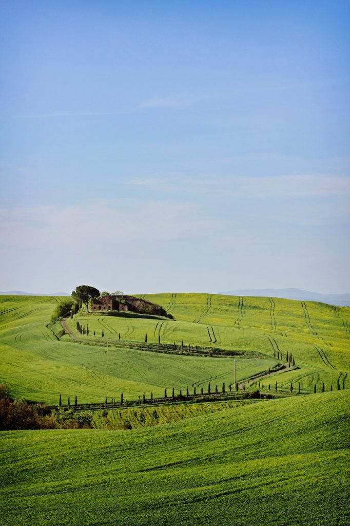 Tuscany, Italy - Wine, Sunflowers, And Timeless Villages: A Summer Journey In Tuscany